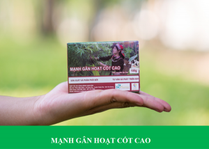 Mạnh gân hoạt cốt cao